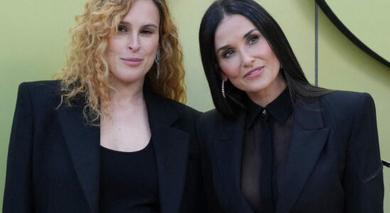 Rumer Willis is a carbon copy of her mother Demi