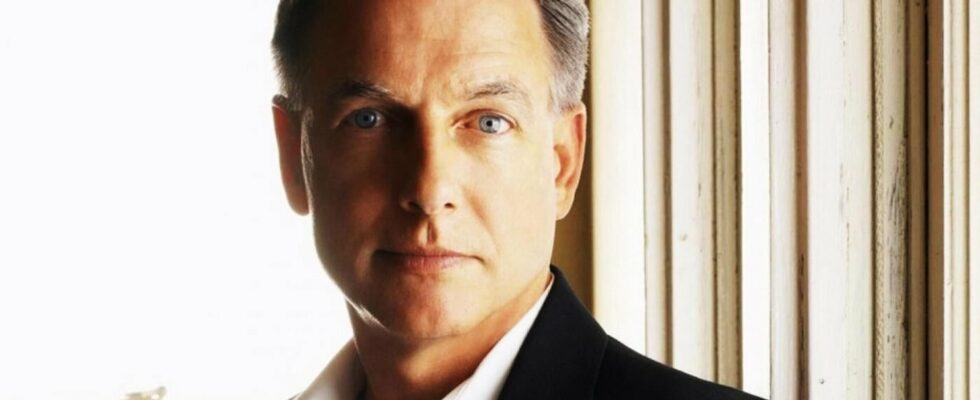 Thats why Mark Harmon didnt want to know what would