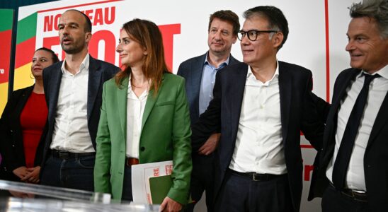 The New Popular Front proposes Lucie Castets to be Prime