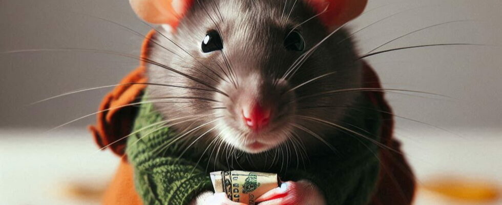 The RAT offer proposed by Canal is back Reserved for