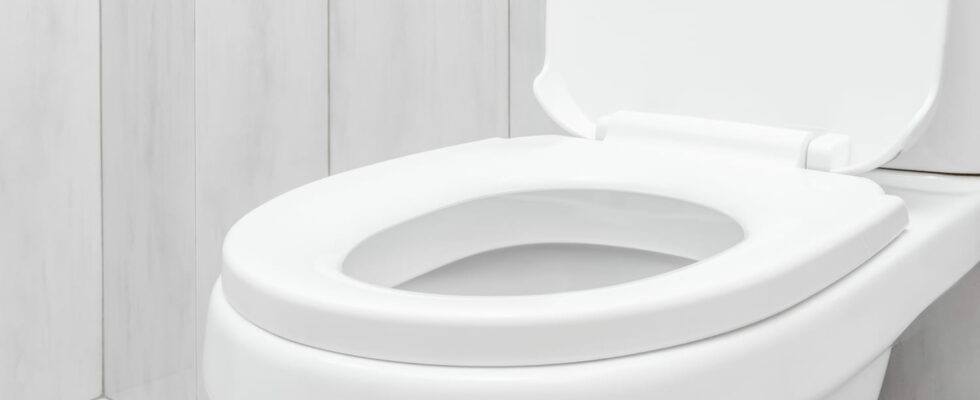 This Cheap Trick Ensures Your Toilet Always Smells Good