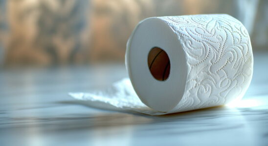 This Simple Toilet Paper Trick Keeps Mosquitoes Away For Good
