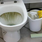 This Simple Trick Cleans Dirty Toilets In Just Two Minutes