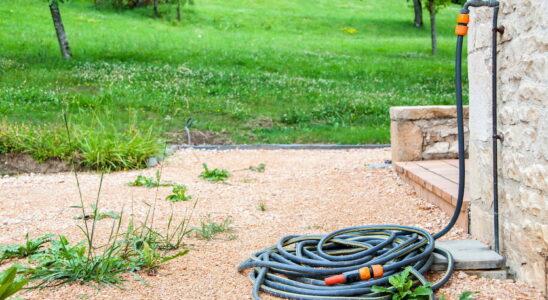 This Watering Hack Will Save You Big Money This Summer