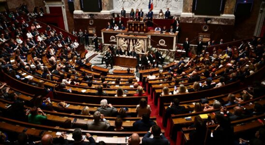 This new Assembly is dominated by social elites – LExpress