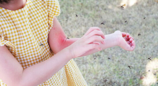 This summer avoid using these mosquito repellents on your children