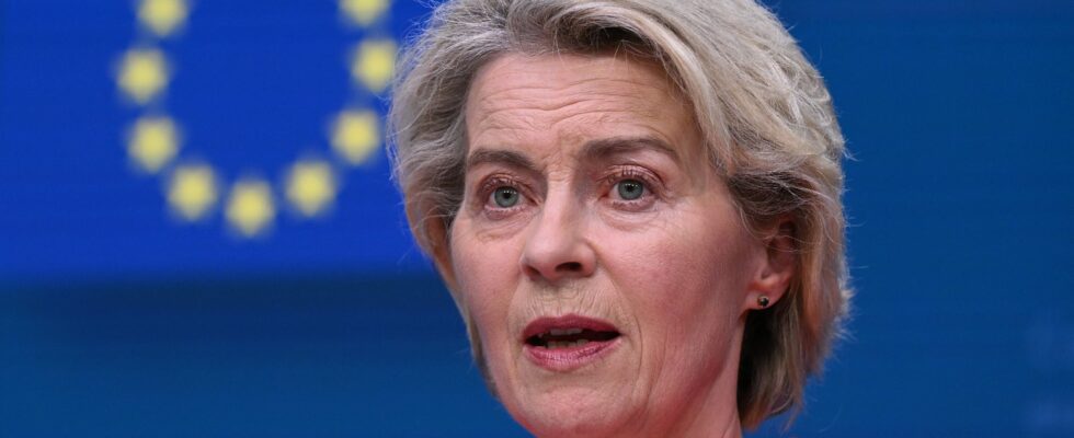 Ursula von der Leyen confirmed as head of the European