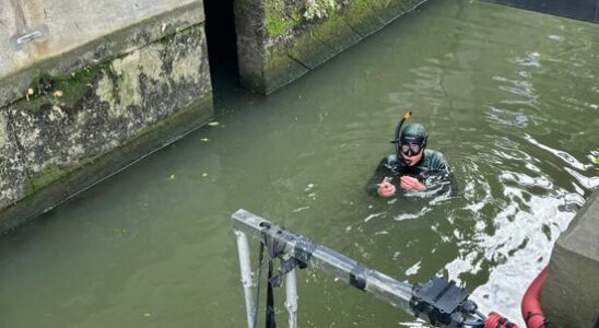 Utrecht city ecologist swimming in the Utrecht canals is safe