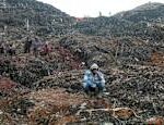 Already 30 dead dozens missing in Uganda landfill landslide