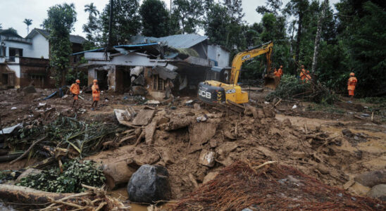 At least 350 dead in Wayanad climate and construction sites