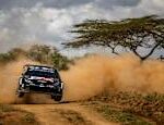 Brand new races for the World Rally Championship heres