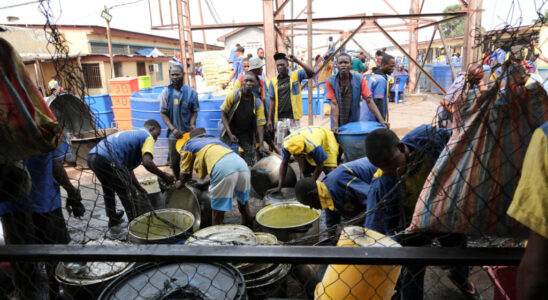 DRC release of 527 prisoners from Makala prison as authorities