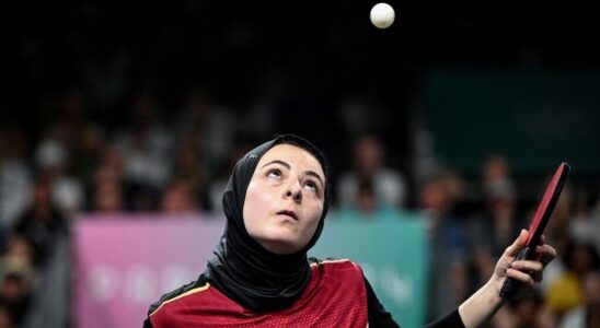 Dina Meshref a child of the ball and the Egyptian