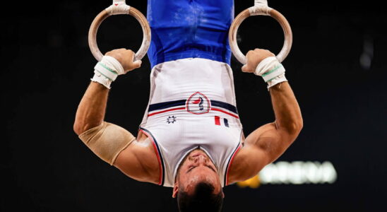 Gymnastics rings at the Olympic Games Samir Ait Said aims for