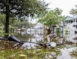 Hurricane Debby which subsided into a tropical storm left six