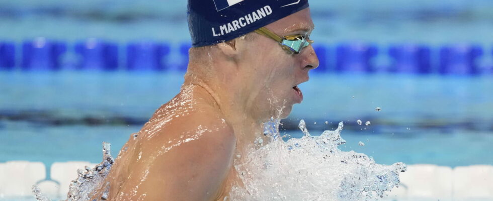 LIVE Swimming at the 2024 Olympics Marchand aims for a