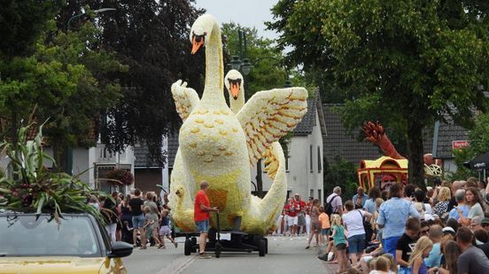 Major challenge for Leersum flower parade participants far fewer dahlias