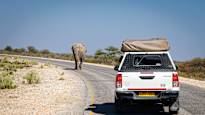 Namibia feeds its citizens elephants zebras giraffes and other animals