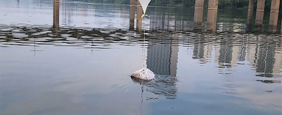 North Korea sends new garbage balloons to the South –