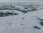 Norwegian researchers The reduction of Arctic sea ice is drastically