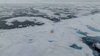 Norwegian researchers The reduction of Arctic sea ice is drastically