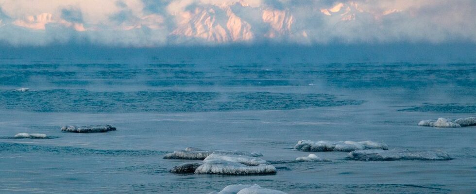 Record hot in Svalbard – the highest temperature in 49