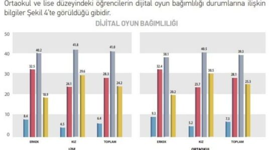 Remarkable digital research on middle and high school students Risk