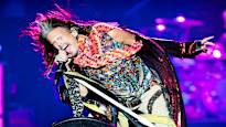 Rock group Aerosmith stops touring singer Steven Tylers voice is