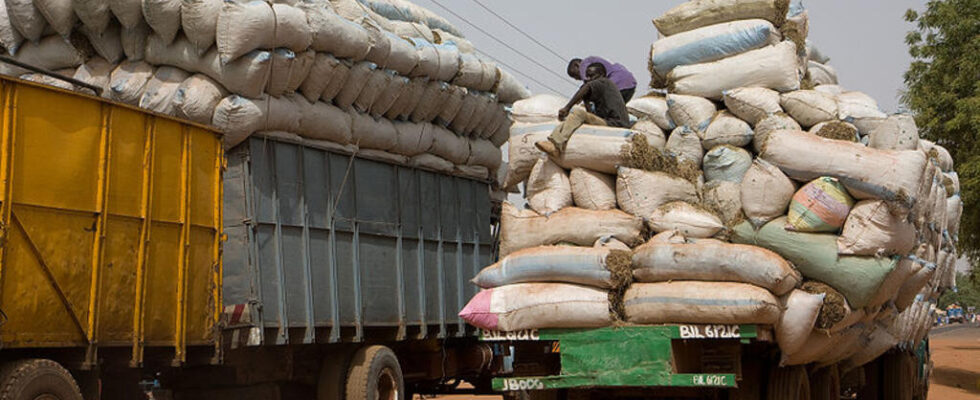 Senegal Gambia a customs agreement allows the resumption of road traffic