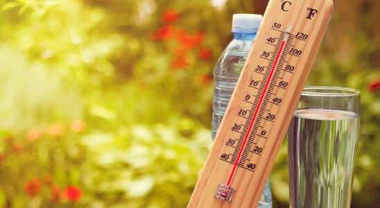 South East on orange heatwave alert forecasts