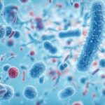 Super bacteria alarm in the world WHO warned countries It