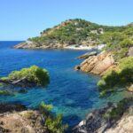 The Cote Bleue Marine Reserve in Carry le Rouet Bouches du Rhone