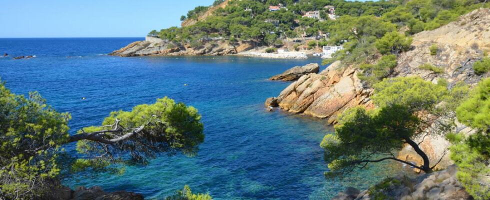 The Cote Bleue Marine Reserve in Carry le Rouet Bouches du Rhone