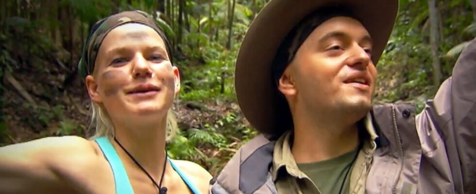 The most successful jungle camp season is available again –