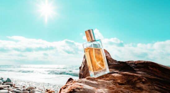 This perfume with sunny notes is creating a buzz on