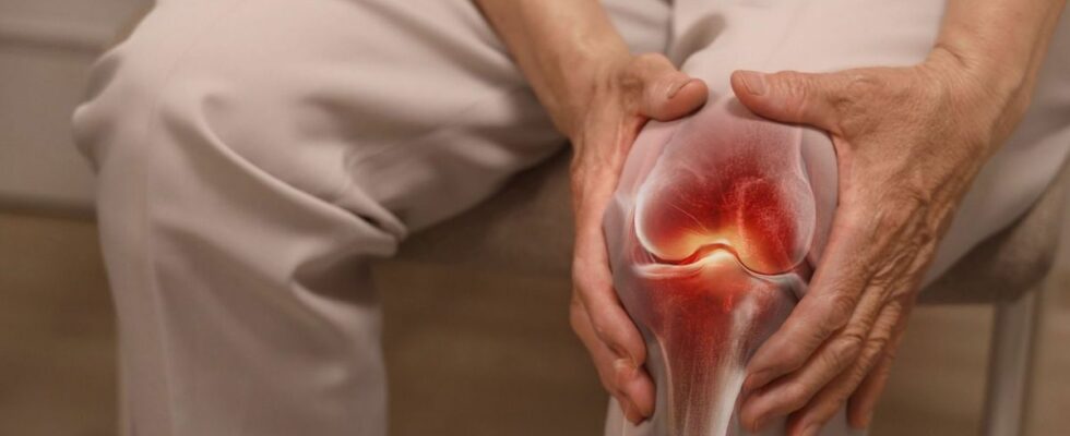 Towards the end of joint pain Revolutionary technology regenerates cartilage