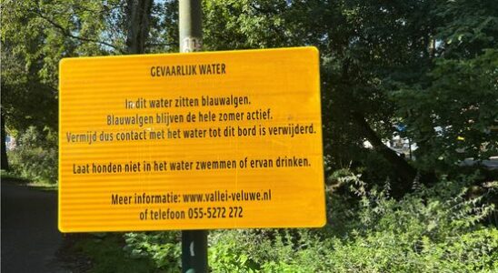 Triathlon Veenendaal will continue despite blue green algae