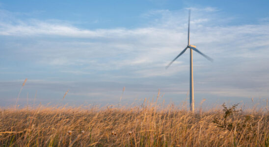 US Wind power overtakes coal for two consecutive months