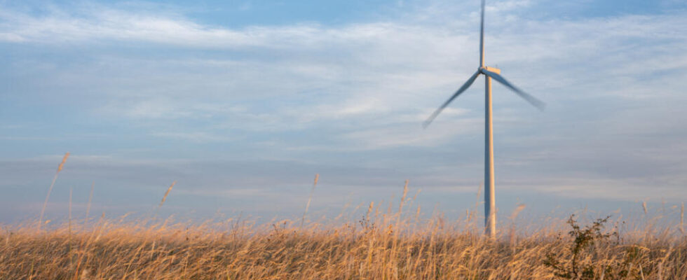 US Wind power overtakes coal for two consecutive months