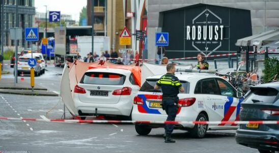 Victim of fatal accident in Nieuwegein was hit twice by