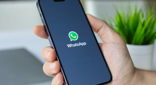 WhatsApp users are still unaware of this option which allows