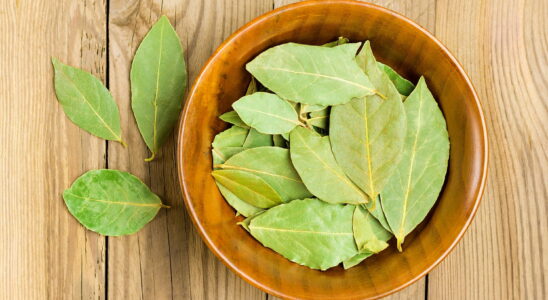 While bay leaf is often used in cooking to flavor