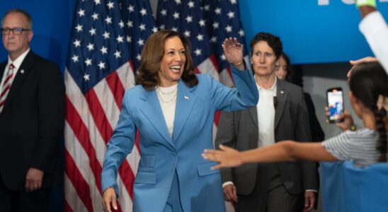 Why Kamala Harris Could Very Well Lose the Election Despite