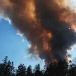 Wildfire smoke linked to increased risk of dementia