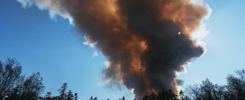 Wildfire smoke linked to increased risk of dementia