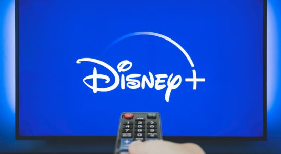 After Netflix it is Disneys turn to ban the sharing