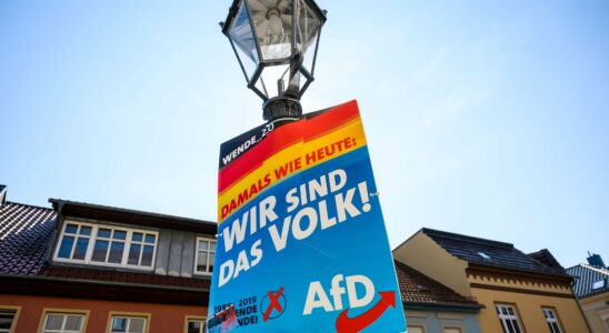 Diving into the heart of the German far right –