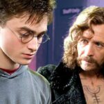 Gary Oldman found his Harry Potter role in the films