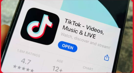 Have you always dreamed of using TikTok without an internet