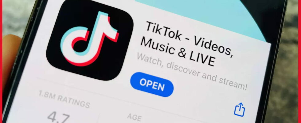 Have you always dreamed of using TikTok without an internet